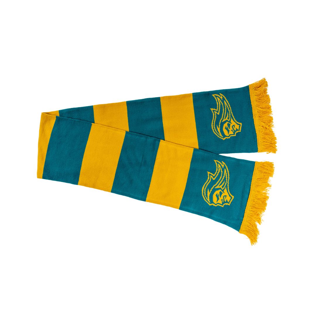 Teal/Gold Bars Scarf