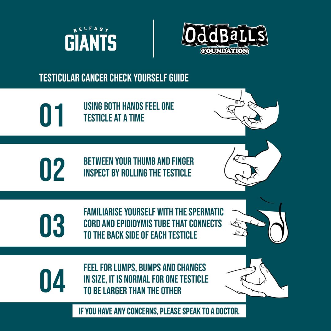 Belfast Giants x OddBalls Teal Boxers